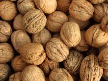 Walnut