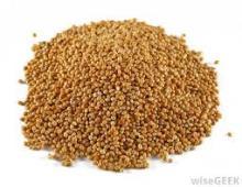  White   Sorghum 