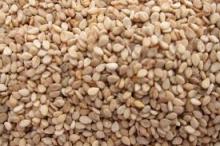 Brown Sesame Seeds