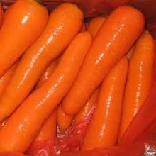Fresh Carrots