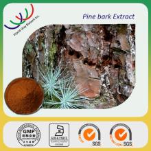 pine bark extract