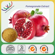 pomegranate extract