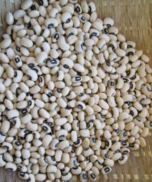 Black Eyed Beans Supplier