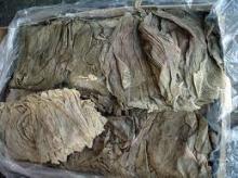 Salted Beef/Buffalo Omasum