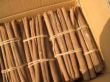 Cinnamon cassia split