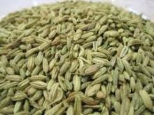 Fennel seeds