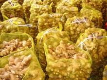 Fresh  Ginger  and Garlic