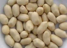  Blanched   Peanuts 