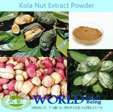 Hot Selling100% Natural Coca  Seed  Extract/Coca  Seed  Powder/Coca  Seed  Extract Powder