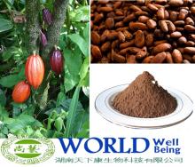 100% Natural Organic  Cocoa   Extract   Powder , Cocoa  Bean  Extract   Powder ,  Cocoa   Powder 