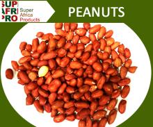  Peanut s Suppliers from Madagascar