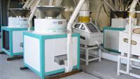  Buckwheat  Hulling Machine