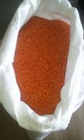 turkish red lentil