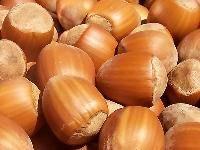 Hazel Nuts/Walnuts/Peanuts
