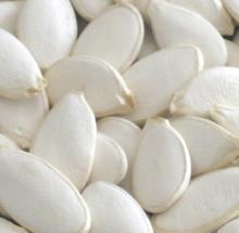 Snow White Pumpkin Seeds
