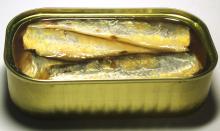 sardine hgt / canned sardine / Mackerel / Herring / Monkfish
