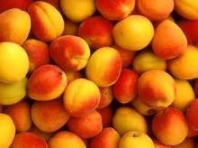 Fresh Peaches class 1