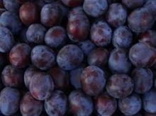  Fresh   Plum s for sell