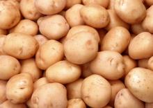 Fresh Potatoes for sell