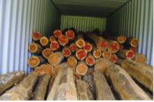 Teak round logs