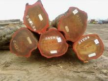 Quality Padouk Logs Timber