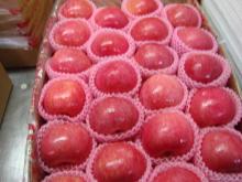 new crop Jiguan Apples,Small apples,low price