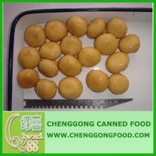 canned   whole  button mushroom 