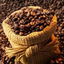 Best price high quality Viet Nam Robusta Coffee Beans