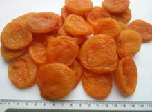  fresh  dried  apricot s for sale