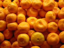 CITRUS FRUITS MANDARINS