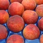 FRESH PEACHES