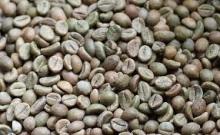 ROBUSTA COFFEE BEANS