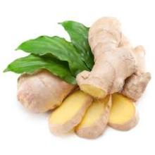 FRESH GINGER