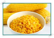 Nutritional Individual Quick Frozen (IQF) Sweet Corn for Cooking