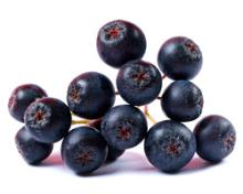  Aronia  berries dried