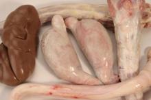  Frozen   Beef  Offal