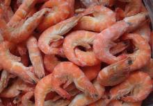 Frozen Shrimps
