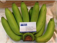Fresh Banana (Kluai Hom)