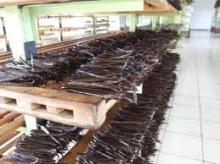 Vanilla Beans