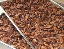 Georgia  Pecan s (Raw, No Shell),Hard Shell  Pecan s,Organic  Pecan s (Raw, No Shell),Roasted  Pecan s (Salt