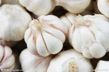 Allicin powder,Allicin powder