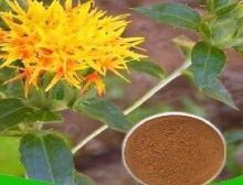 Flos Carthami Extract
