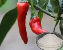 Capsicum Powder Extracts