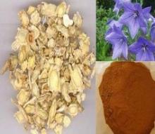 Radix Platycodonis Extract