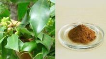  Radix  Dichroae Extract