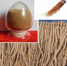 Radix Codonopsis Extract
