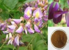 Caulis Spatholobi Extract