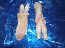  Frozen   Beef   Tendon 