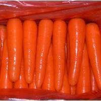 fresh carrot