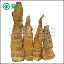 Bamboo Shoot Bamboo Food